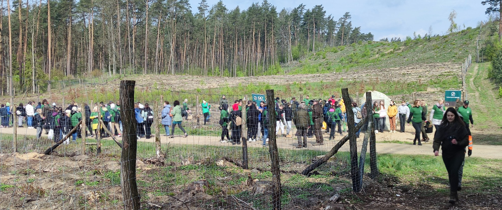 Tłumy zgromadzone na akcji sadzenia lasu
